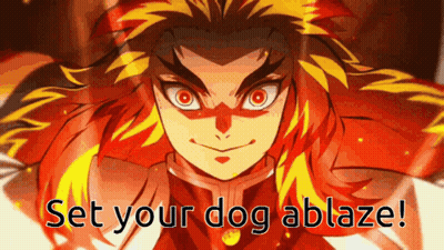 A Close Up Of A Person 'S Face With The Words Set Your Dog Ablaze . GIF