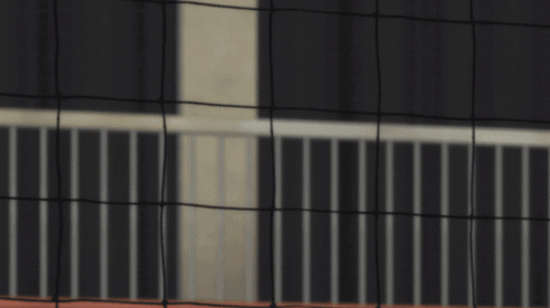 A Close Up Of A Person 'S Fist Against A Net GIF