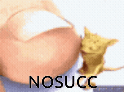 A Close Up Of A Person 'S Foot With The Word Nosucc Written On It GIF