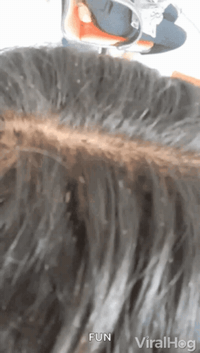 A Close Up Of A Person 'S Hair With The Words Fun In The Corner GIF