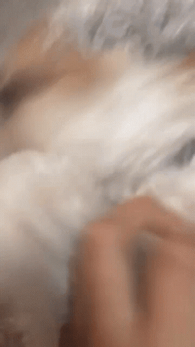 A Close Up Of A Person 'S Hand Holding A White Feather GIF