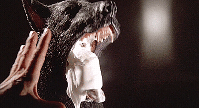 A Close Up Of A Person 'S Hand Touching A Black Dog GIF