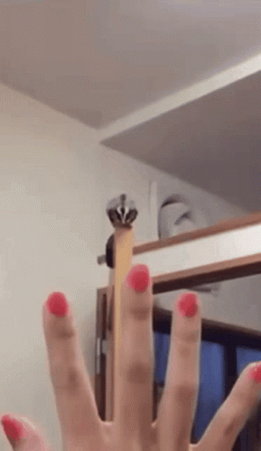 A Close Up Of A Person 'S Hand With Red Nail Polish On Their Nails GIF