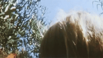 A Close Up Of A Person 'S Head With A Tree In The Background GIF