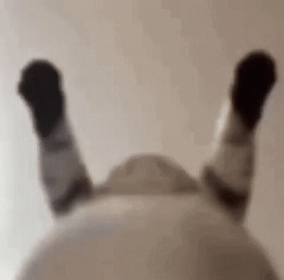 A Close Up Of A Person 'S Legs With Their Feet Up . GIF