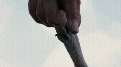 A Close Up Of A Person 'S Mouth With Their Eyes Closed GIF
