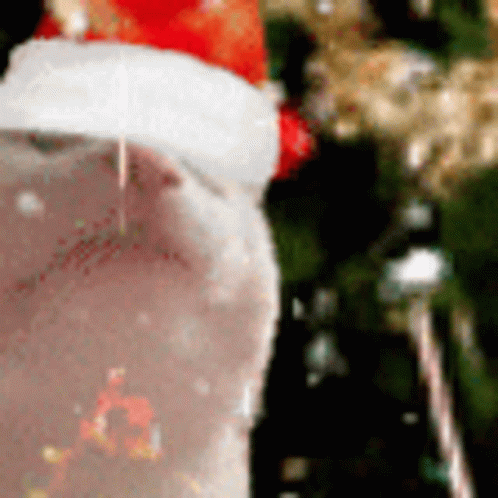 A Close Up Of A Person Wearing A Santa Hat In Front Of A Christmas Tree GIF