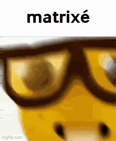 A Close Up Of A Person Wearing Glasses With The Word Matrixe On Top GIF