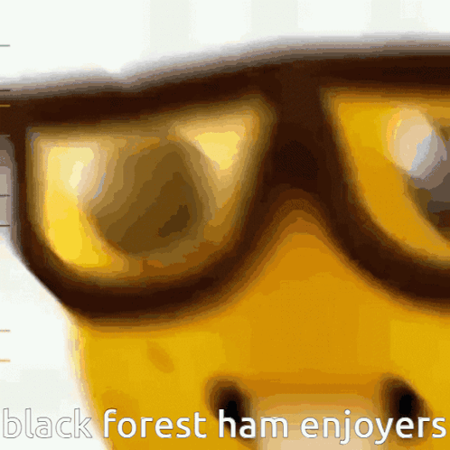 A Close Up Of A Person Wearing Glasses With The Words Black Forest Ham Enjoyers Below Them GIF