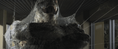 A Close Up Of A Person Wrapped In Spider Webs GIF