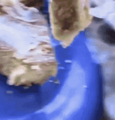 A Close Up Of A Piece Of Food On A Blue Table Cloth GIF