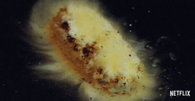 A Close Up Of A Piece Of Food With The Netflix Logo In The Corner GIF