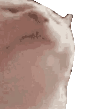 A Close Up Of A Piece Of Meat On A White Surface Sticker