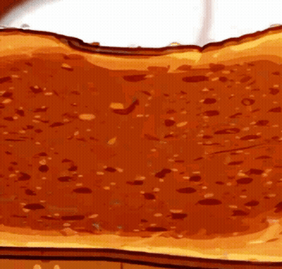 A Close Up Of A Piece Of Toast With Syrup On It GIF