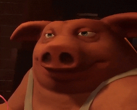 A Close Up Of A Pig 'S Face With His Eyes Closed GIF