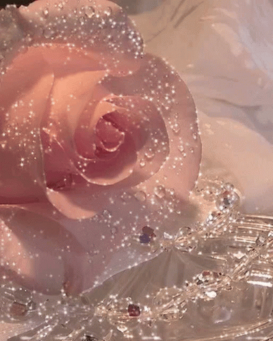 A Close Up Of A Pink Rose With Water Drops On It Surrounded By Crystals GIF
