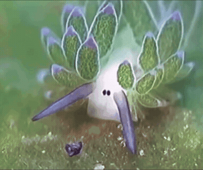 A Close Up Of A Plant With A Purple Tail GIF