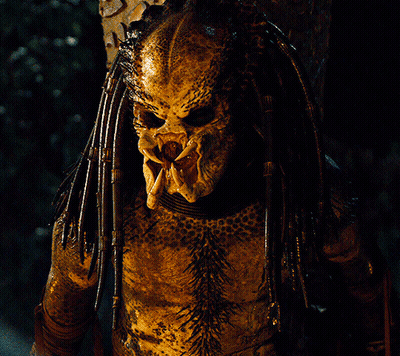 A Close Up Of A Predator With A Very Sharp Teeth GIF