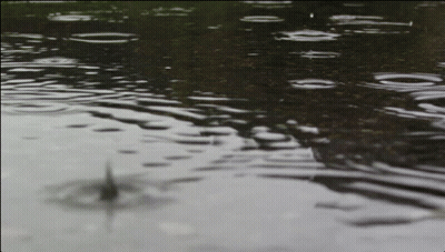 A Close Up Of A Puddle Of Water With A Drop Of Water Falling Into It GIF