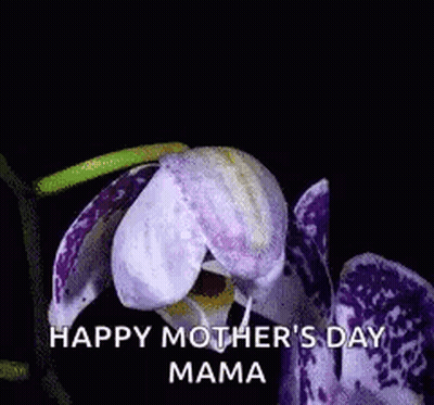 A Close Up Of A Purple Flower With The Words `` Happy Mother 'S Day Mama '' On It . GIF
