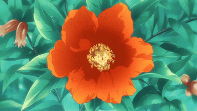 A Close Up Of A Red Flower With Green Leaves In The Background GIF