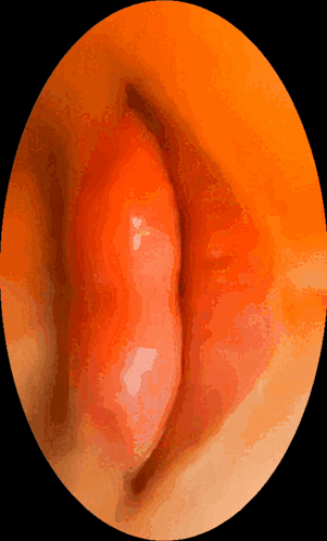 A Close Up Of A Red Object In An Orange Circle With A Black Background GIF