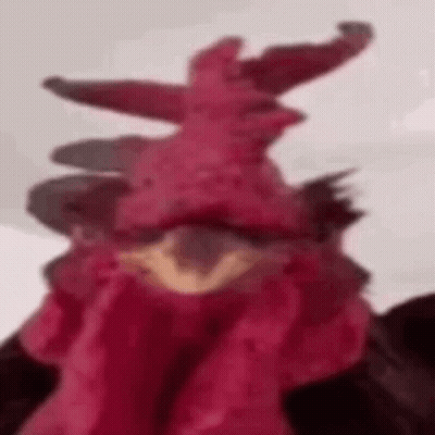 A Close Up Of A Red Rooster 'S Head With A Hat On . GIF