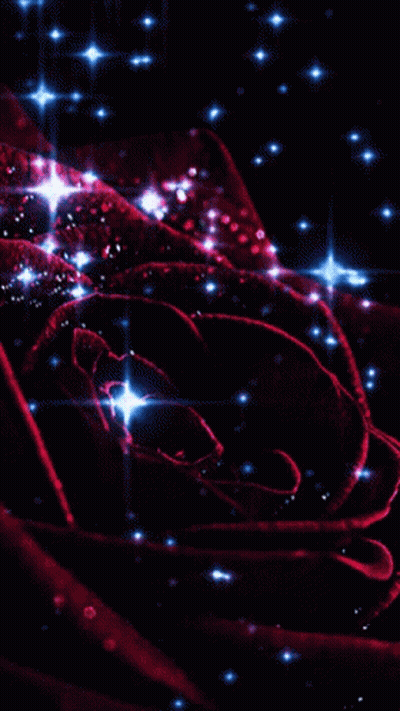 A Close Up Of A Red Rose Surrounded By Blue Lights GIF