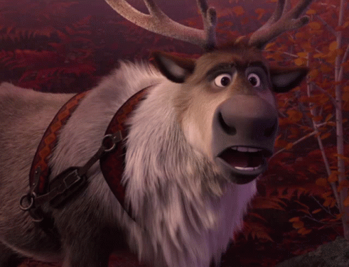 A Close Up Of A Reindeer With A Harness On GIF