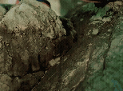 A Close Up Of A Rocky Surface With A Green Background GIF