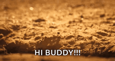 A Close Up Of A Sandy Beach With The Words `` Hi Buddy '' Written On It GIF