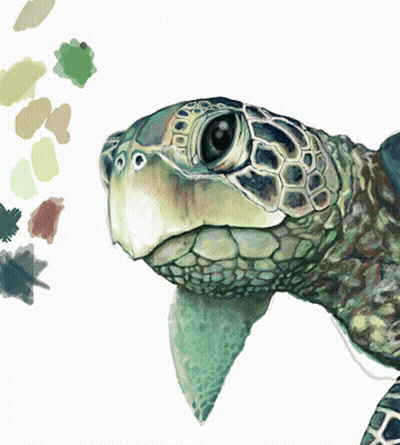 A Close Up Of A Sea Turtle 'S Face With A White Background GIF