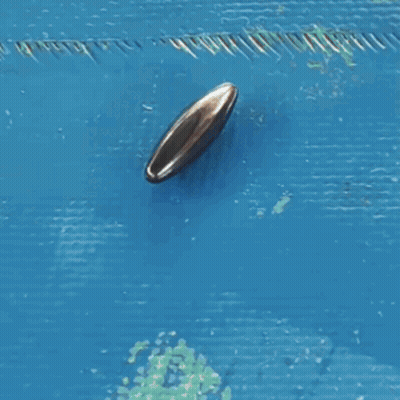 A Close Up Of A Seal 'S Face Against A Blue Background GIF