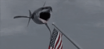 A Close Up Of A Shark Eating A Squid In The Water . GIF