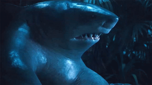 A Close Up Of A Shark 'S Face With A Dark Background GIF