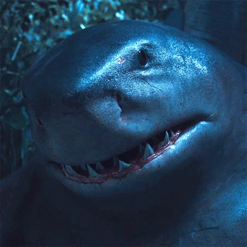 A Close Up Of A Shark 'S Face With A Hole In It GIF