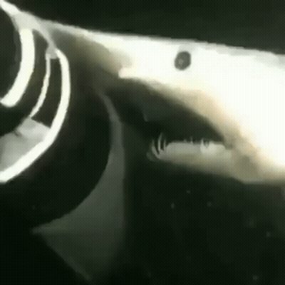 A Close Up Of A Shark 'S Mouth And Teeth In A Black And White Photo . GIF