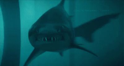 A Close Up Of A Shark 'S Mouth In The Water GIF