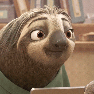 A Close Up Of A Sloth Wearing A Green Shirt And Looking At The Camera GIF