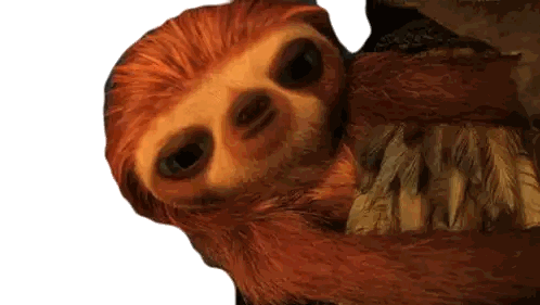 A Close Up Of A Sloth With Feathers On Its Arms Against A White Background Sticker