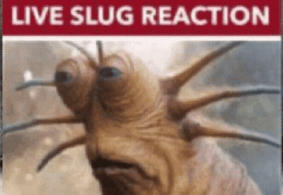 A Close Up Of A Slug With A Live Slug Reaction Sign Behind It GIF