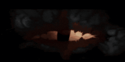 A Close Up Of A Snake 'S Eye With A Black Circle In The Middle GIF
