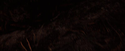 A Close Up Of A Snake 'S Face With A Cloudy Sky In The Background GIF