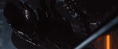 A Close Up Of A Spider In The Dark With A Glowing Orange Light Behind It GIF