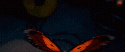 A Close Up Of A Spider 'S Face With A Mouth Open . GIF