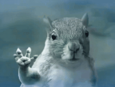 A Close Up Of A Squirrel 'S Face Behind A Glass Door GIF