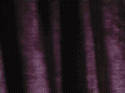 A Close Up Of A Stuffed Animal In A Dark Room With A Light Behind It . GIF