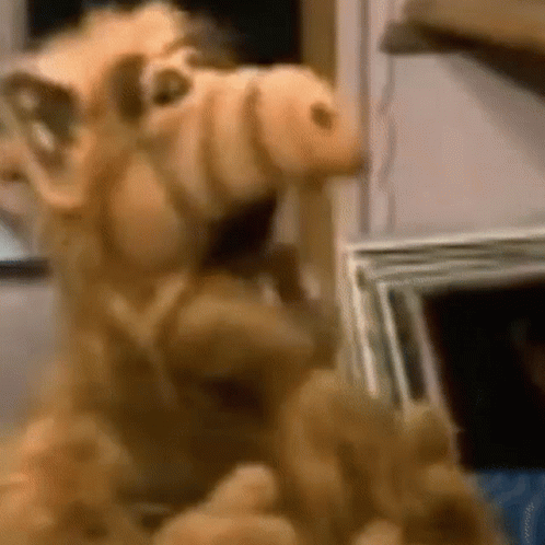 A Close Up Of A Stuffed Animal That Looks Like Alf From The Sitcom Alf From Space . GIF