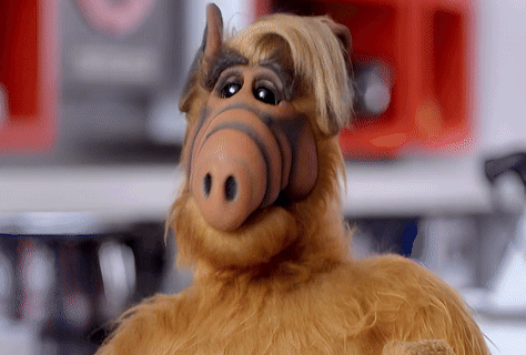 A Close Up Of A Stuffed Animal That Looks Like Alf GIF