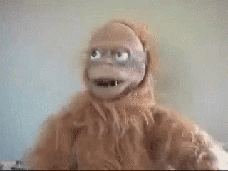 A Close Up Of A Stuffed Animal With A Beard And Big Blue Eyes . GIF